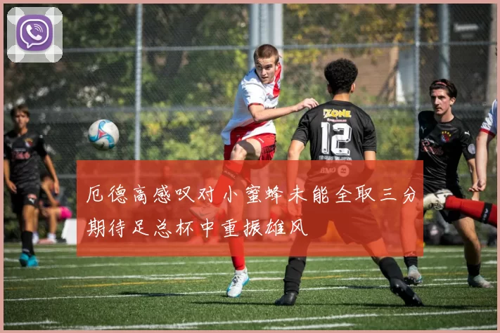 厄德高感叹对小蜜蜂未能全取三分期待足总杯中重振雄风
